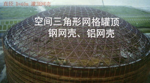 ZGLP-Ⅱ装配式井字形内浮盘