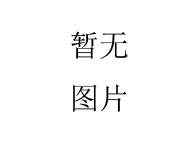 板式节点钢网壳制作安装工艺规程